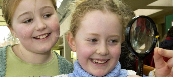 Smiling children examining an insect