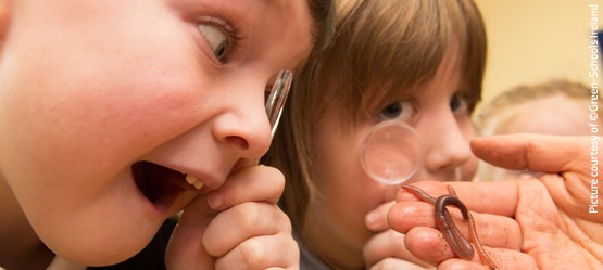 Happy children discovering nature