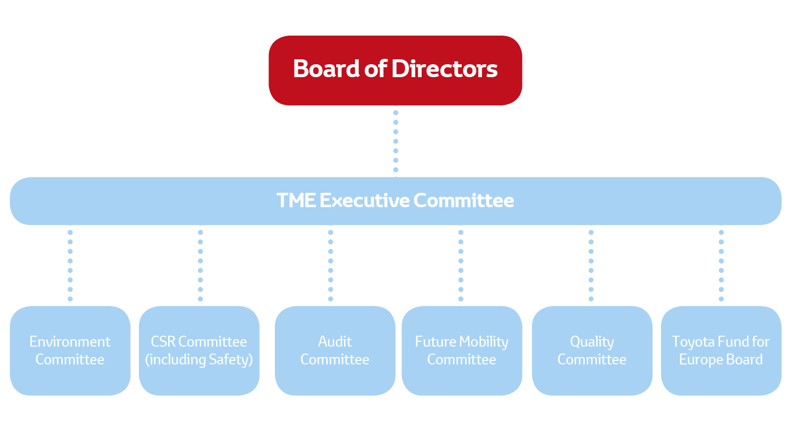 Our governance structure