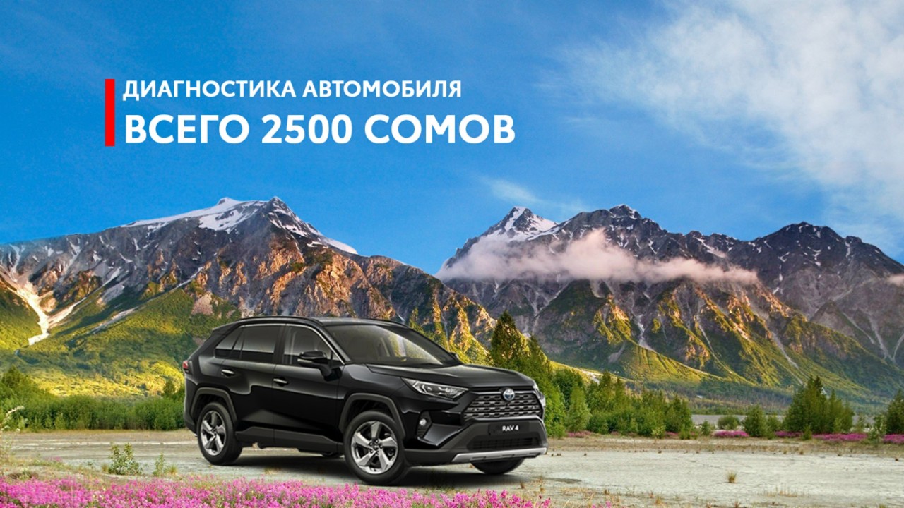 Диагностика по специальной цене